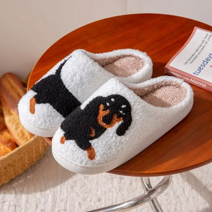 Furry Slides