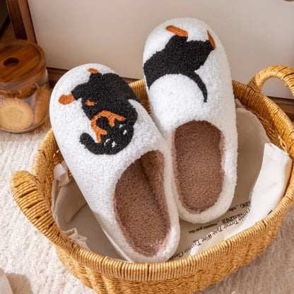 Furry Slides
